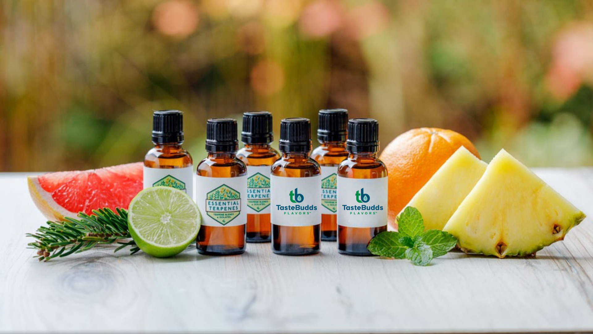 Extract Consultants EU