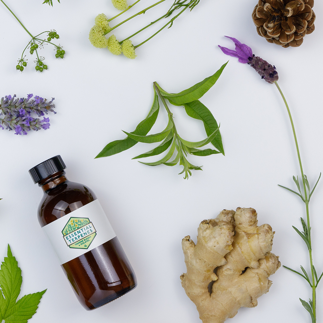 Extract Consultants EU